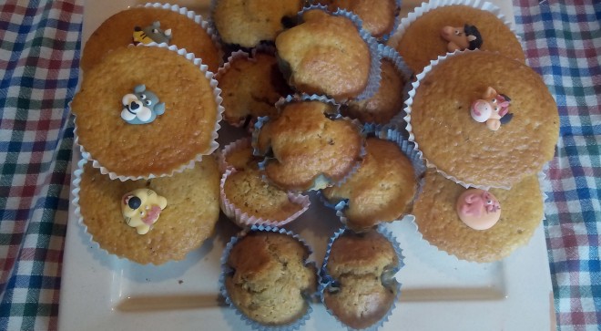 I Muffins di Saltapoggio