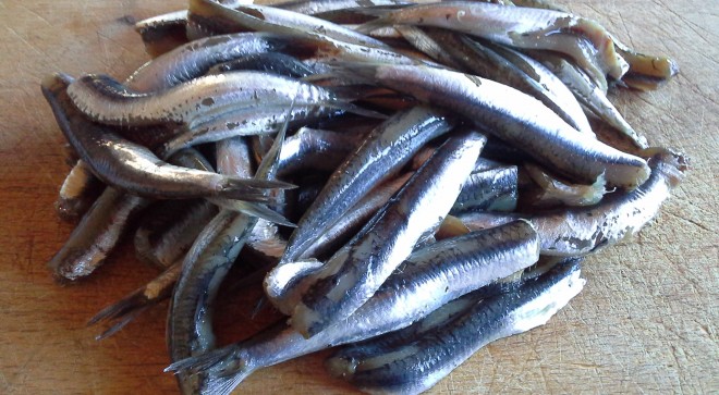 Anchovies, how can I cook you?